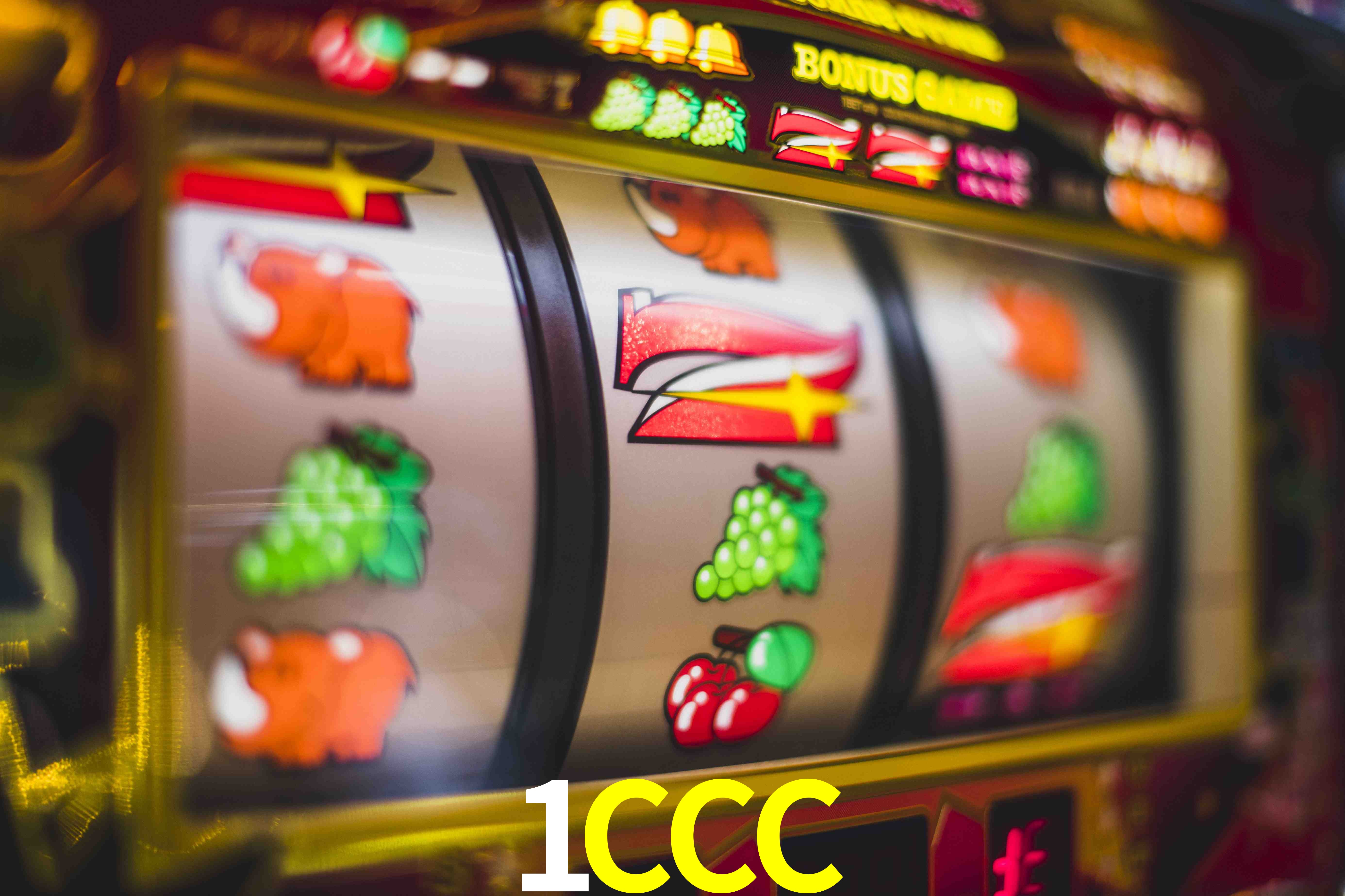 1CCC Plataforma